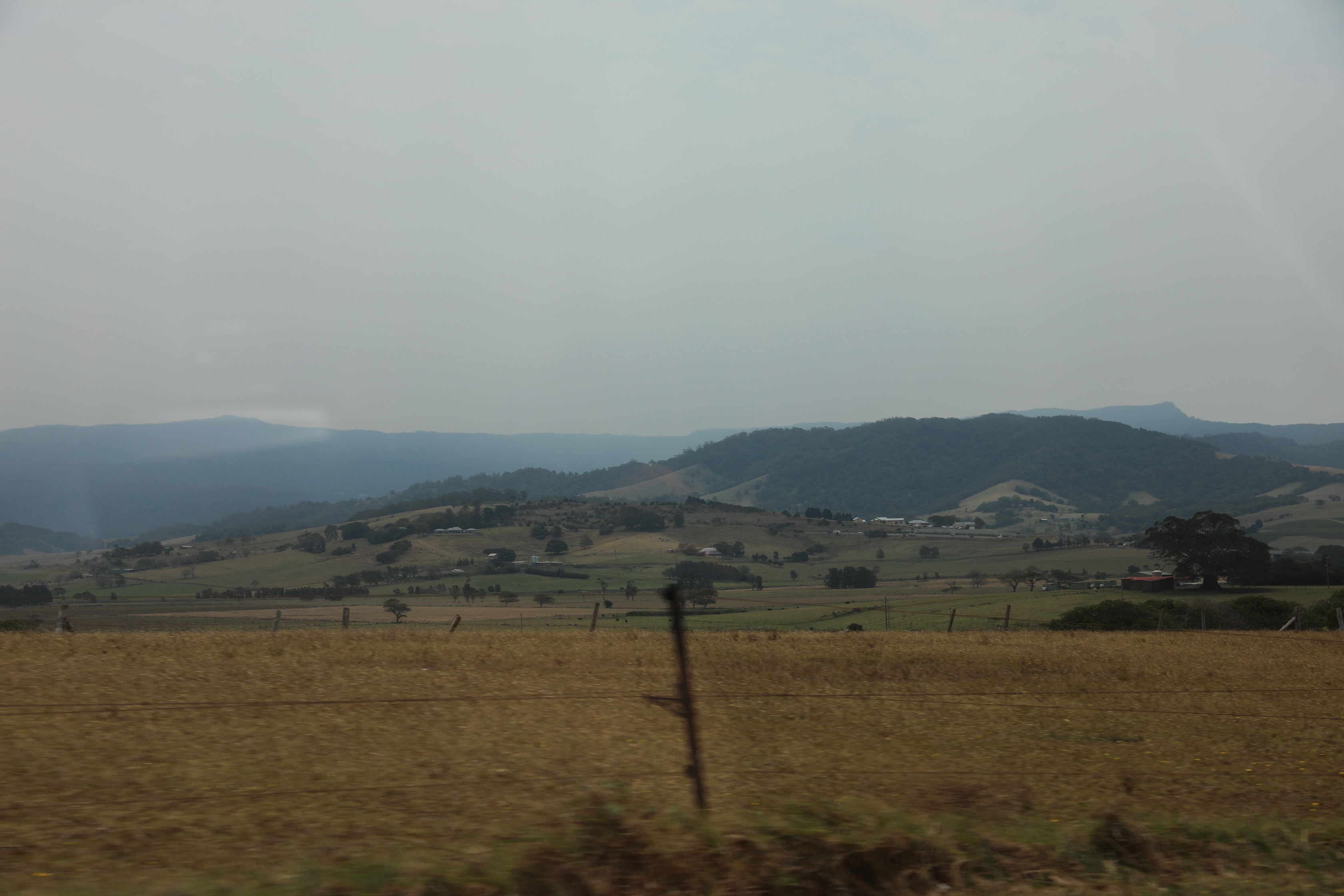 2019 12 28 13 48 24 Canon EOS 5D Mark IV 0009